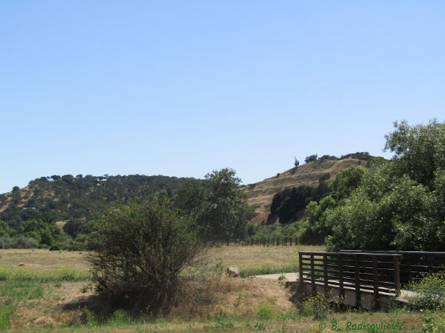 "Larry" Moore Park in Paso Robles: A Photographic Review - Footbridge over Creek