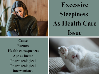 Excessive Sleepiness As Health Care Issue