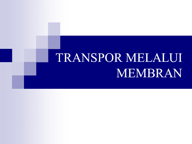 Slide Powerpoint "TRANSPOR MELALUI MEMBRAN"