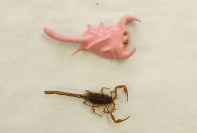 Weird Hotlix Insect Candy in Pictures