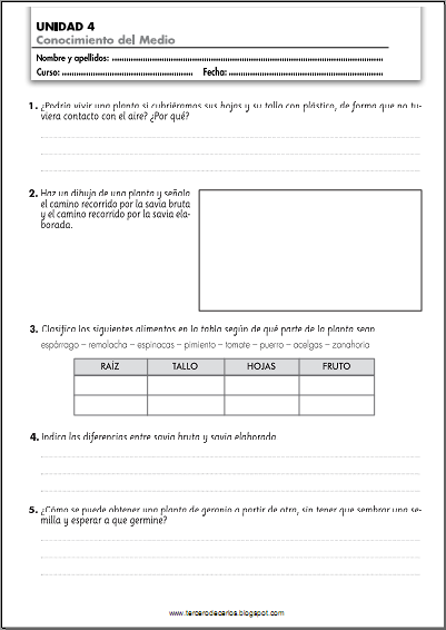 http://www.primerodecarlos.com/TERCERO_PRIMARIA/noviembre/Unidad4/fichas/cono/cono8.pdf