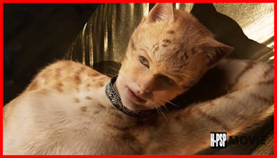 猫。流電影【2019-BLURAY】全高清[Cats]完成在線《HD.1080P|720P》