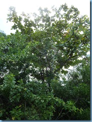 P1030405