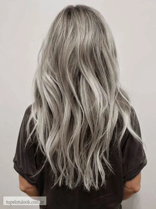 color de pelo 2015 gris