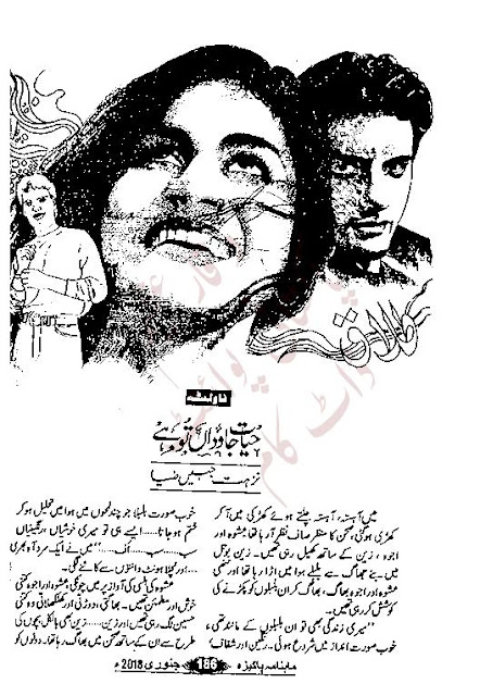 Free downlaoad Hayat javidan tu hai novel by Nuzhat Jabeen Zia pdf