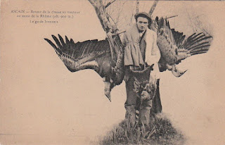 pays basque autrefois vautours labourd chasse
