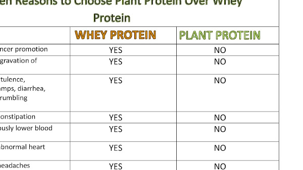 Better Than Whey Protein