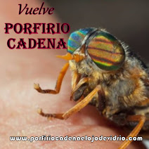 Radionovela Porfirio Cadena