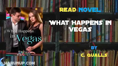What Happens in Vegas Novel