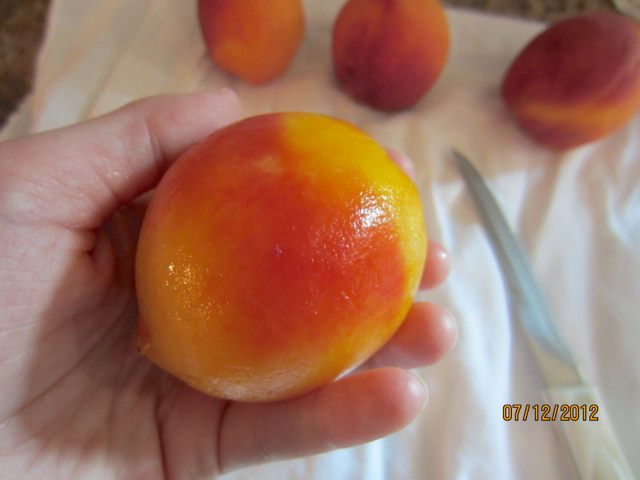 slice peaches into 8 slices each hold the peach gently and make a ...