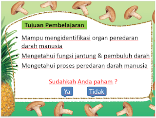 Materi Pembelajaran Organ Tubuh Manusia