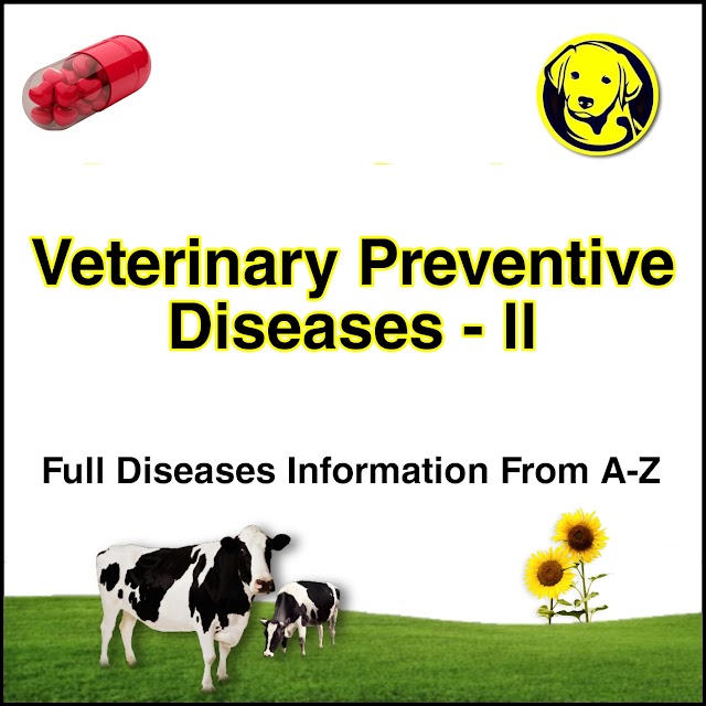Free Download Veterinary Preventive Medicine Full Pdf