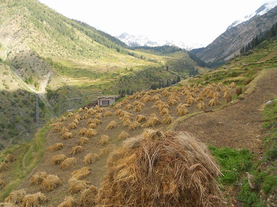 hidden valley in Gilgit baltistan. Khaltaro valley. Haramosh valley. Khun Meadows Khaltaro