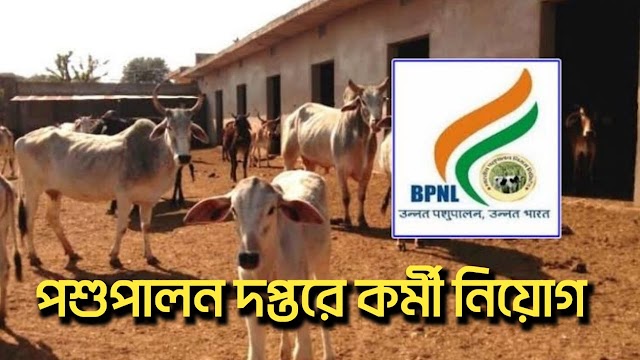 BPNL Recruitment 2024 : ভারতীয় পশুপালন দপ্তরে কর্মী নিয়োগ বিজ্ঞপ্তি ।