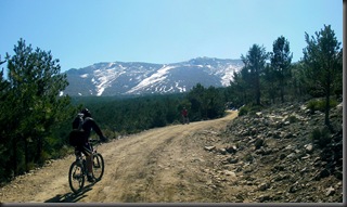 Stitched Panorama