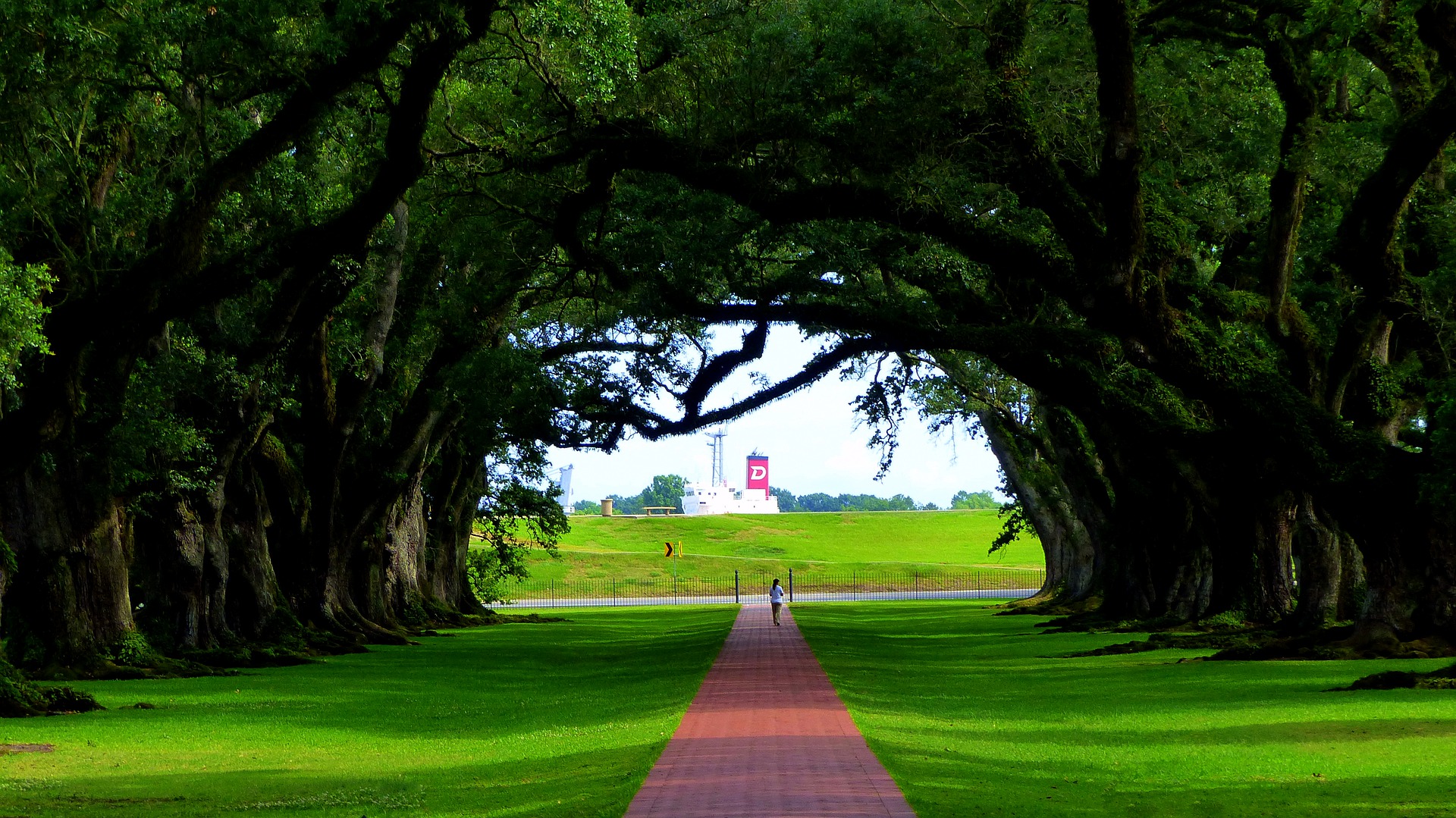 Architecture of Plantation