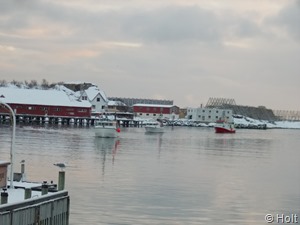 DSCN0249