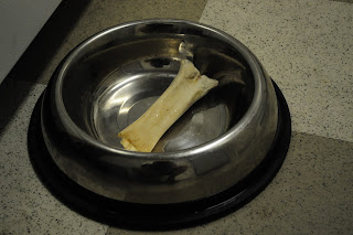 Bob's bone inside of his dog bowl