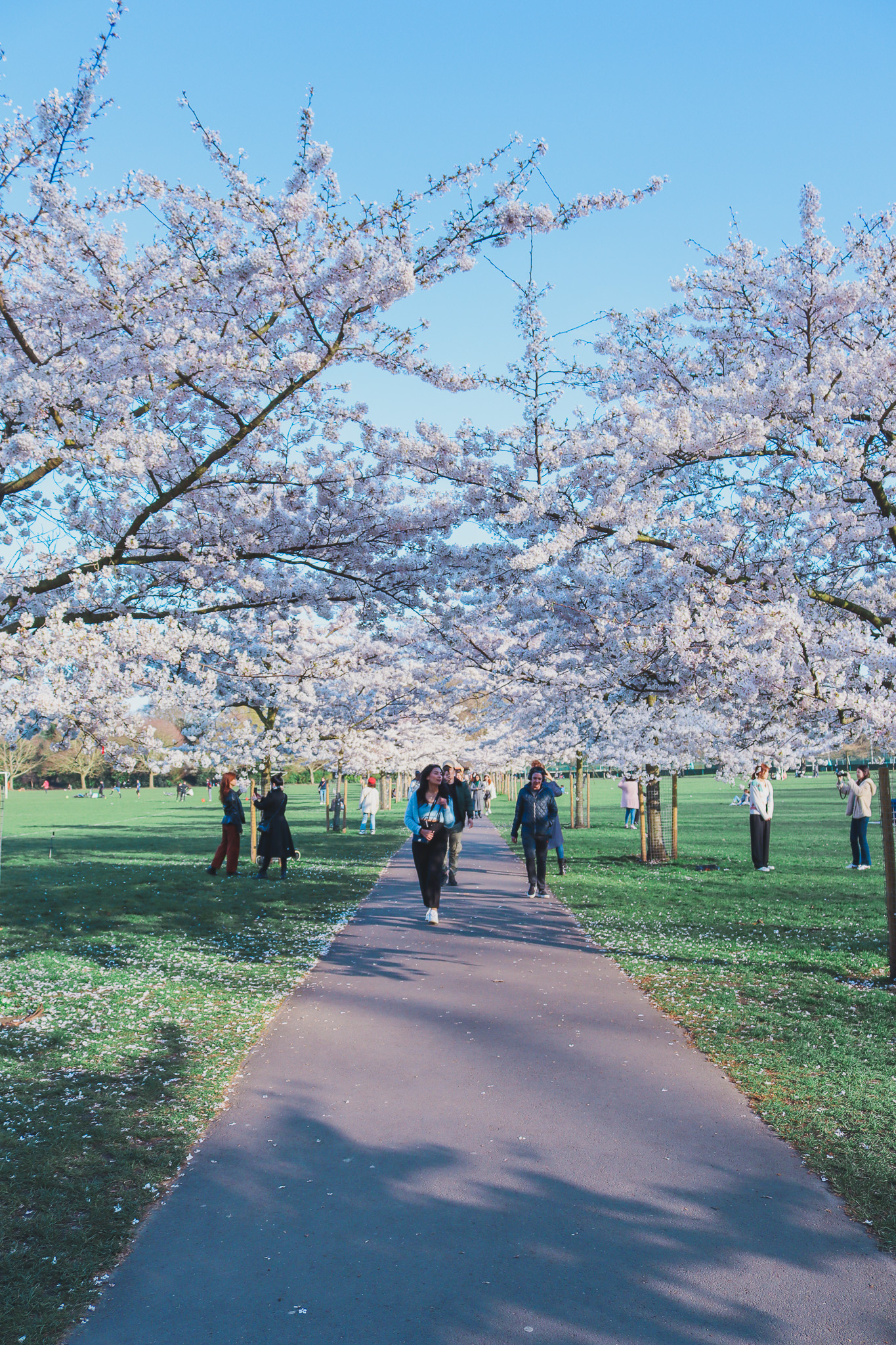 people at battersea park, london