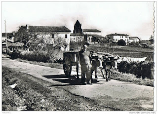 pays basque 1900