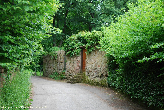 Philosophenweg, Heidelberg, Germany, Philosopher's Way