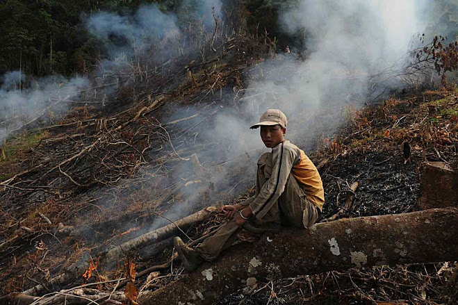 Bancos estatais chineses incitam o desmatamento com dinheiro. Foto Jianchu Xu, World Agroforestry Centre