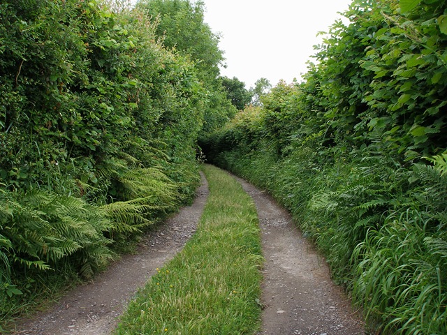 13th_june_08