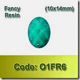 O1FR6 copy