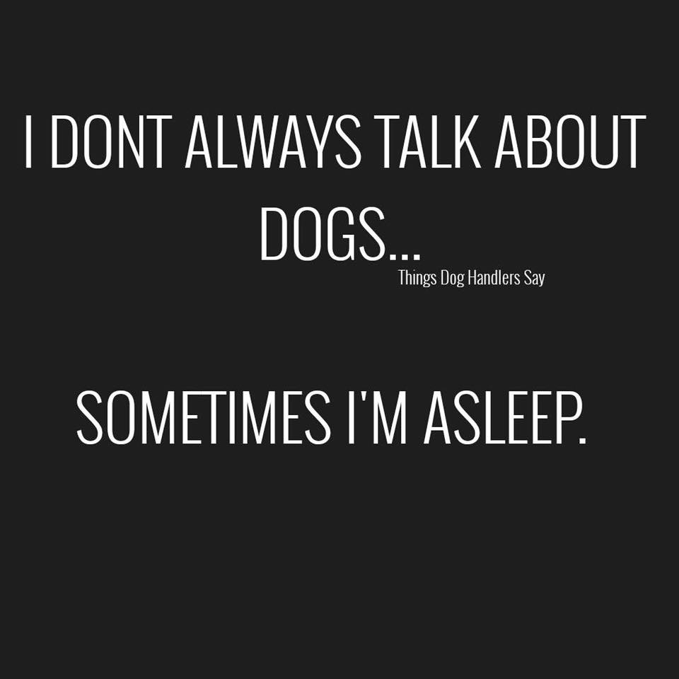 Favourite Dog Quotes