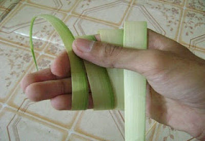 Cara Membuat Ketupat Lebaran Dari Janur Daun Kelapa