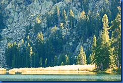 Highway 88 Fall Colors-065