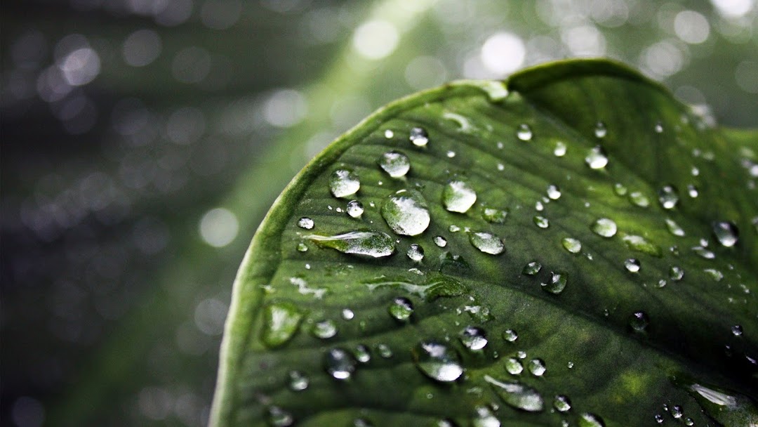 Water Drops HD Wallpaper 3