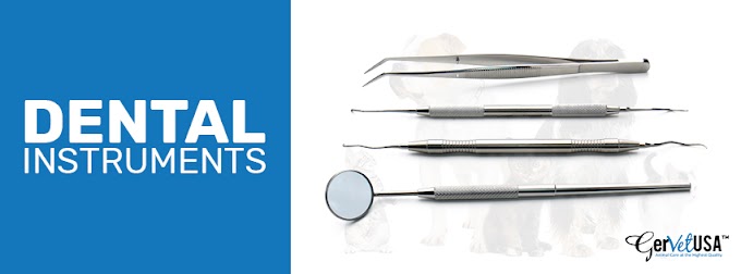 Choose Reliable And Durable Dental Instruments