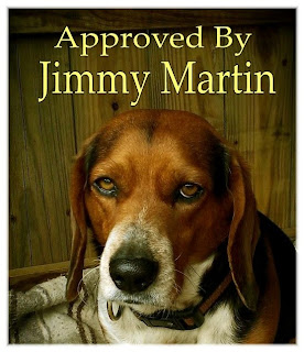 20 20 Vision Jimmy Martin Lyrics : Ways To Control Diabetes Naturally