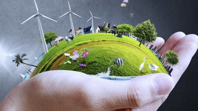 Going Green: Sustainable Home Improvement for a Better Planet