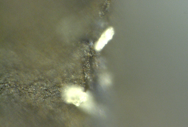 Microscopy photo set#6: Chalk-like white particles