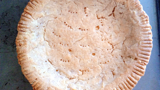 Homemade Sourdough Pie Crust