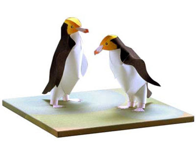 Yellow eyed penguin papercraft