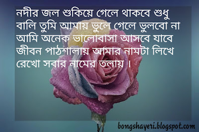 Love Shayari In Bengali For Girlfriend 