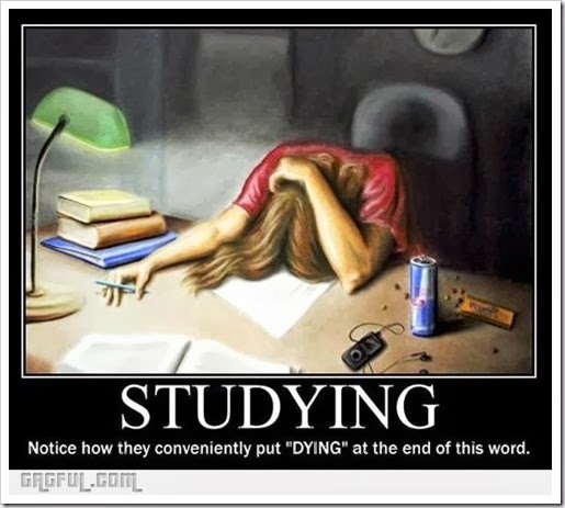 1347619043_studying_gag