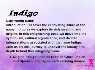 meaning of the name "Indigo"