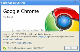 Google Chrome 3.0.195.21