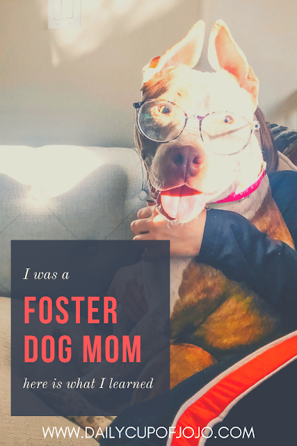 fostering a dog, how to foster an animal, fostering animal experiences, foster dog mom, how to be a dog mom, rescue animal experience 