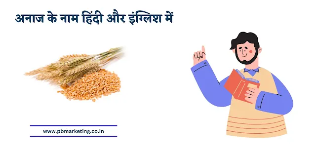 Grains Name In Hindi and English