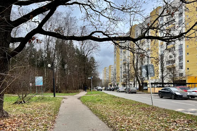 Зеленоград, Зеленоградский лесопарк, 12-й микрорайон
