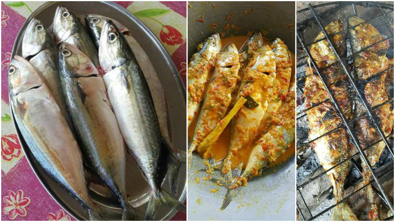 Resep Bakar Ikan Kembung - Https Encrypted Tbn0 Gstatic Com Images Q