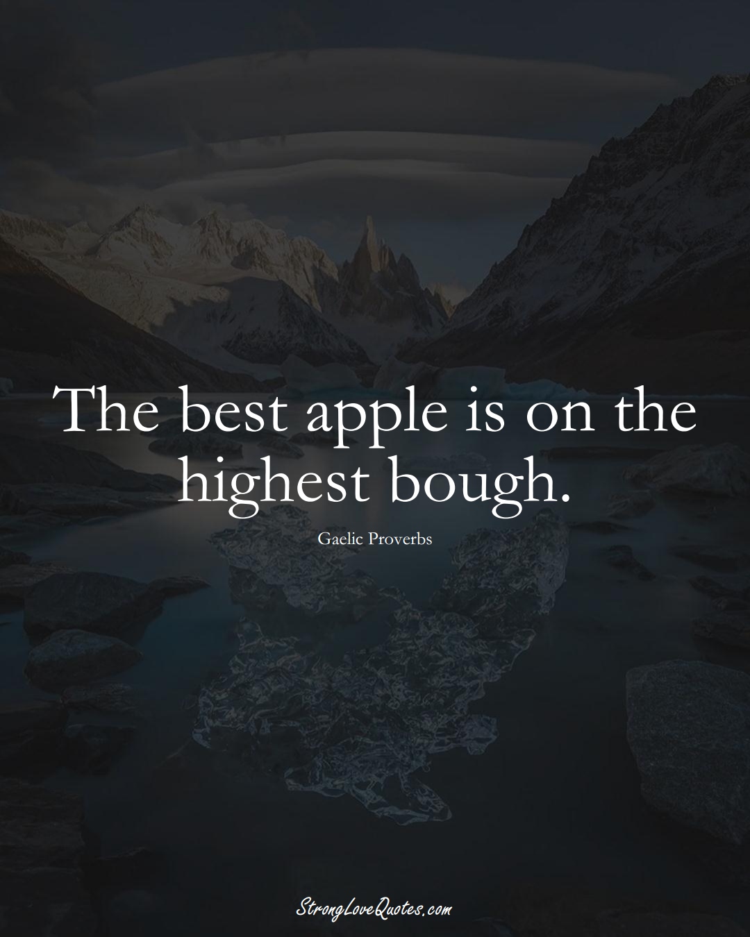 The best apple is on the highest bough. (Gaelic Sayings);  #aVarietyofCulturesSayings
