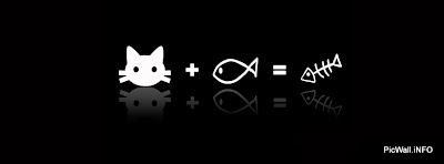 cat fish facebook timeline cover photo