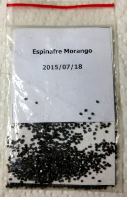 Sementes de Espinafre Morango