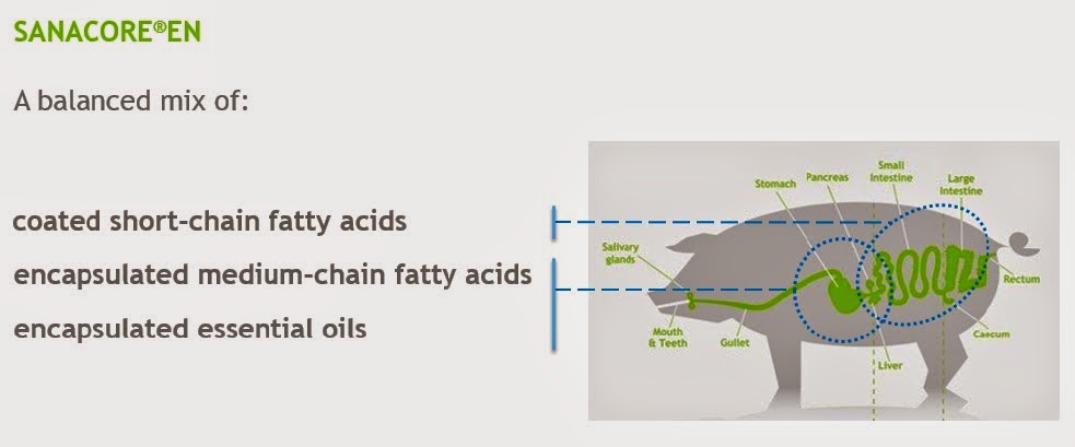 http://nutriad.com/2015/01/veterinary-view-on-stretococcus-suis/